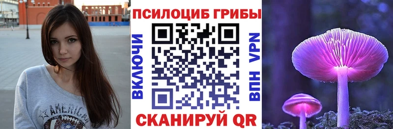 Галлюциногенные грибы GOLDEN TEACHER  omg как войти  Бикин  наркота 
